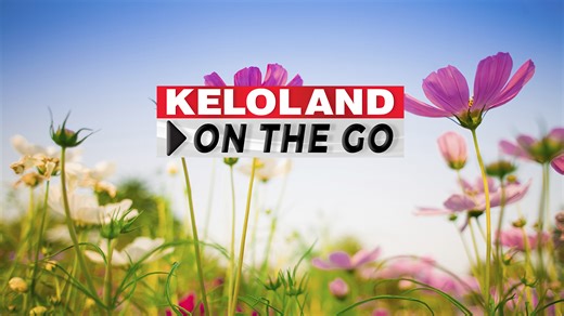 Absentee ballots; Ziggi's coffee shop; Cooler tomorrow