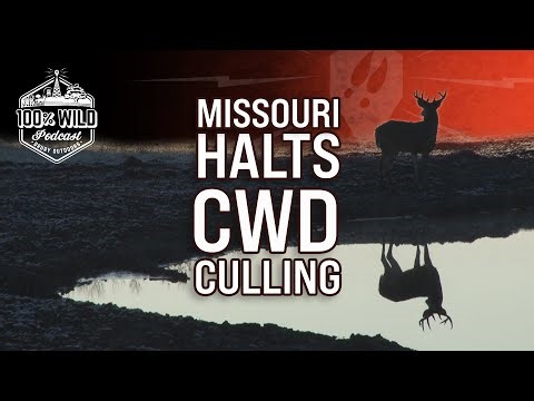 Is CWD Culling Over? Jason Sumners on the Future of Missouri Hunting |100% Wild Podcast Ep. 456