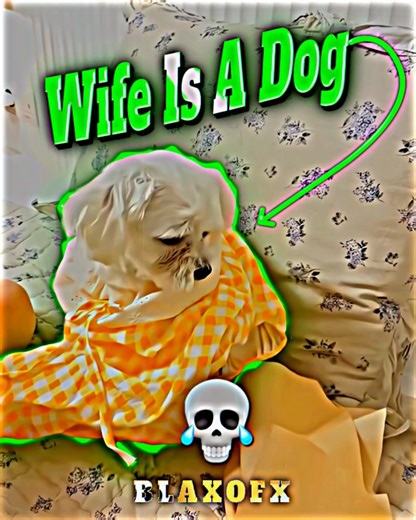 Wedding Night Shock 💀😂