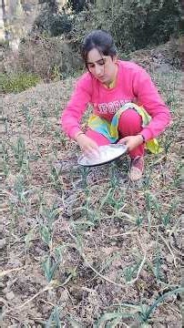 पहाड़ों में कुछ भी चीजें बर्बाद नहीं होती🤩#minivlog #villagelife #dailyvlog #pahadilifestyle #winter