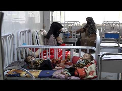 Afghanistan's hunger crisis deepens as aid cuts leave millions without enough food