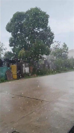 Raining sounds with View #rainsounds #rain