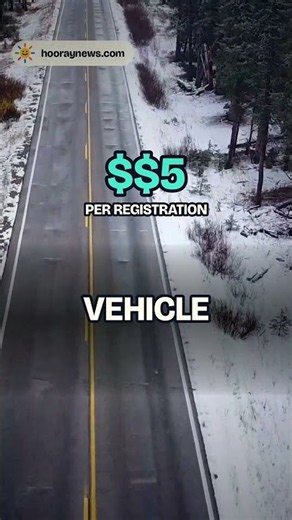 Wadsworth Elk Crossings: CDOT Says Feasibility Study Comes First | Good News #59 #Shorts
