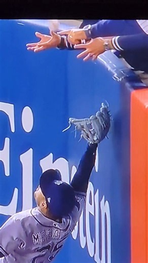 ANTHONY VOLPE SPECTATOR INTERFERENCE: TAMPA BAY RAYS VS. NEW YORK YANKEES: MLB ALDS: OCTOBER 7, 2026