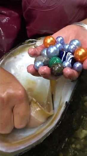 A large pearl appeared in the belly of the old river clam