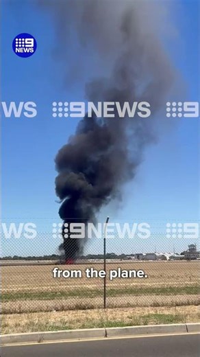 Pilot escapes uninjured from plane crash | 9 News Australia