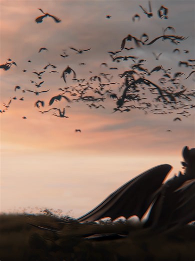 Golden Brown #httyd #httyd3 #httyd2 #httydedit #toothless #howtotrainyourdragon #hiccup #какприручитьдракона #stoickthevast #dragons