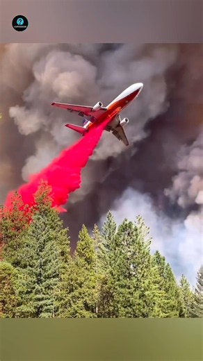 The Fire Retadent Aeroplane #facts