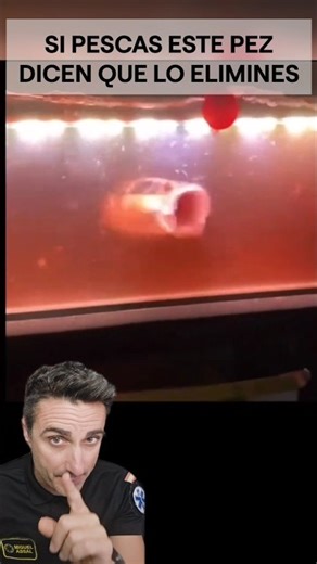 Si pescas este pez dicen que lo elimines.#supervivencia #curiosidades #sabíasque