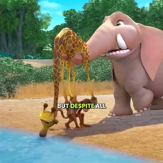 ‎Monkey & Elephant Chased a Rainbow🌈‎