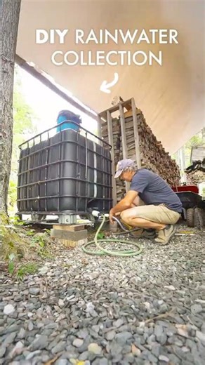 Clever DIY Rainwater Collection System! #shorts #offgrid #rainwater