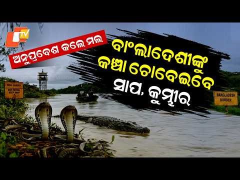 Special Story: Snakes & Crocodiles to Guard India–Bangladesh Border? BSF’s Bold Plan