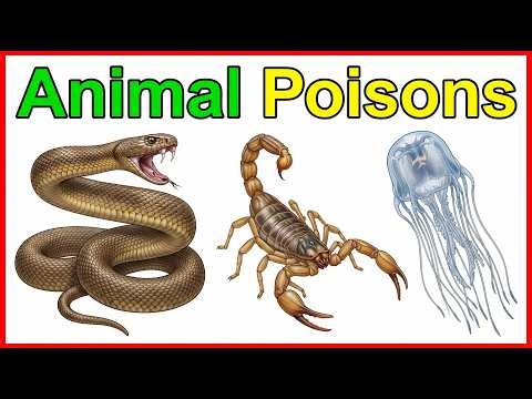 23. Animal Poisons: Snakes, Scorpions & The Box Jellyfish | Forensic medicine Master the Boards 🩺
