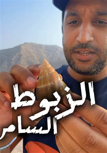 أنواع سامه من الحلزون البحري 🐌 😱 شلون ؟!!$ #زبوط #حلزون #snail #seasnail #بحري
