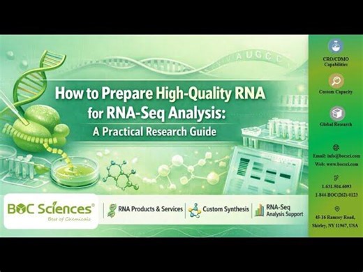 How to Prepare High-Quality RNA for RNA-Seq Analysis - BOC Sciences | BOC Sciences