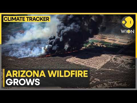 Arizona Wildfires: Hazen Fire Scorches 1,000 Acres in Arizona | WION Climate Tracker
