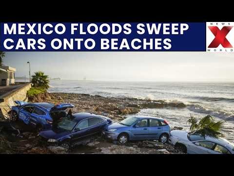 Mexico Floods: Torrential Rain Sweeps Cars and Bus Onto Beaches in Los Cabos | NewsX World