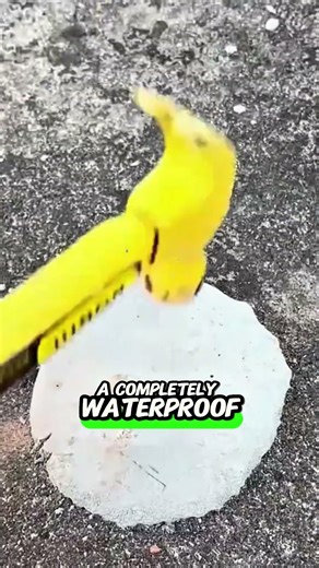 This cement is more of Rubber #shortsvideo