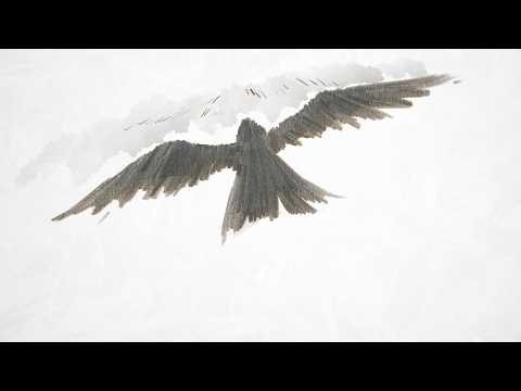 米津玄師「烏」Kenshi Yonezu - Karasu (Raven)  Short Anime