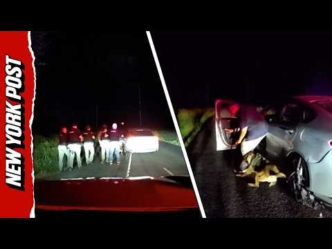 Dramatic Arrest After Deputies Use Grappler, K9 and Pepperballs in High-Speed Chase