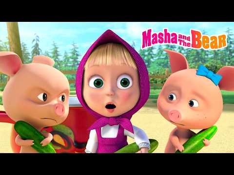 🤗🎁 Why Should We Share With Each Other? 🥒🐷 Best Episodes Collection 🎬 Masha and the Bear 2026