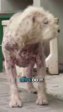 Using a walking stick to claim your space