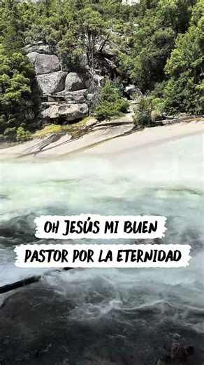 Jesús tu eres mi buen pastor. Tú me acompañarás todos los dias de mi vida. Salmo 23. #alabanza