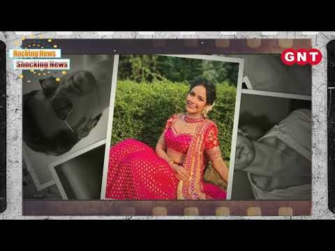 Dangal TV Gears Up for Prime-Time Revamp With Three Brand-New Shows | SBB