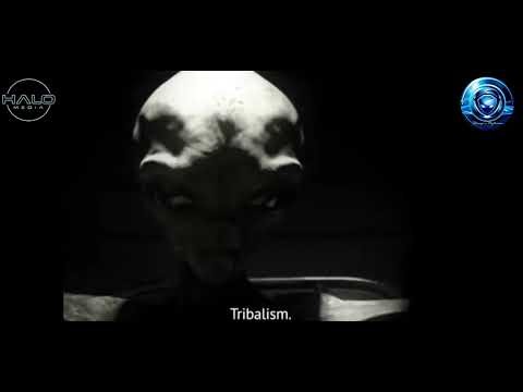 Alien Interview Part:3 SnM #strangerthings #alien #ufo
