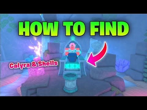 Full Guide for Mermaid Cove and Shells Location in FISCH New Update