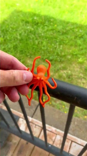 Finding a Small Plastic Lobster and a Toy Octopus on a Black Railing