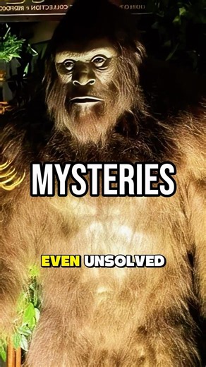 Proof vs Story Why Bigfoot's Legend Matters
