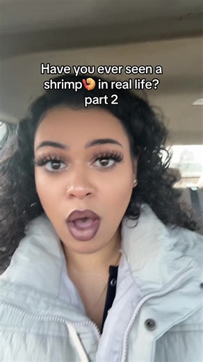 Funny Shrimp Storytime: Cooking and Real-Life Encounters