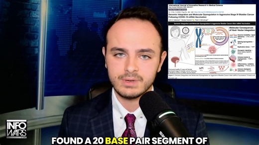 McCullough Foundation on Instagram: "Two of our peer-reviewed studies demonstrate that mRNA “vaccines” integrate into the human genome and dysregulate THOUSANDS of critical genes — triggering turbo cancers, mitochondrial failure, and immune system collapse. mRNA technology will NEVER be safe for human use. Nicolas Hulscher explains."