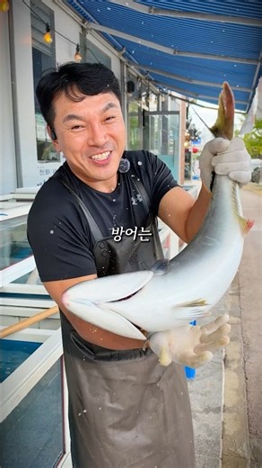 🚨 [긴급속보] 광주에 벌써 방어 떴습니다 #맛집