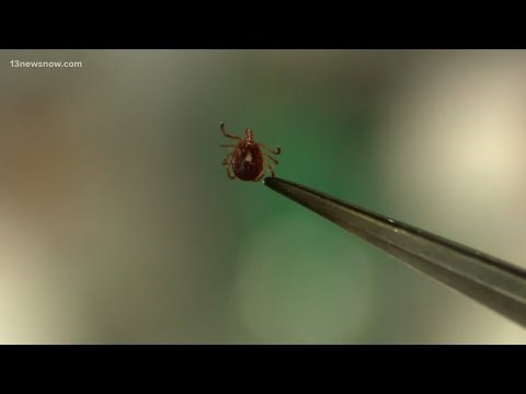 Tick bites on the rise across the nation