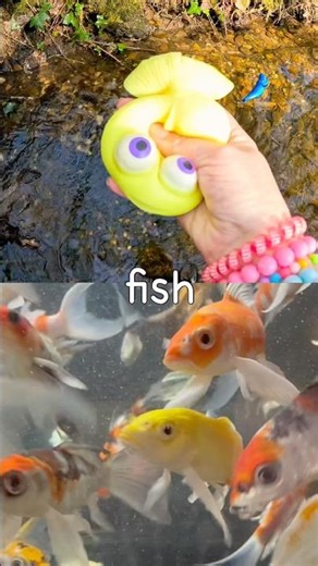 Kids Learn | Sea Animal Names at the Brook: Octopus Sperm Whale Fish Clownfish Jellyfish
