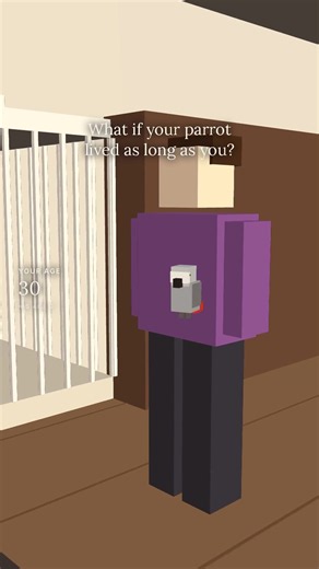 African Grey Parrot What If — A Pet That Might Stay Longer