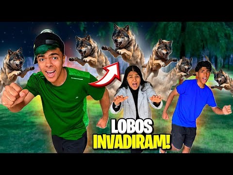 OS LOBOS PERIGOSOS INVADIRAM O RANCHO!!😱🐺 *hoje é lua cheia!!