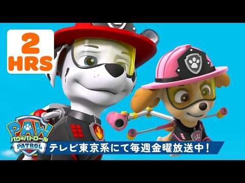 パウ・パトロール | パウ・パトロール：シーズン5のベストレスキュー！🐾 | 120分 | テレビ東京系にて放送中