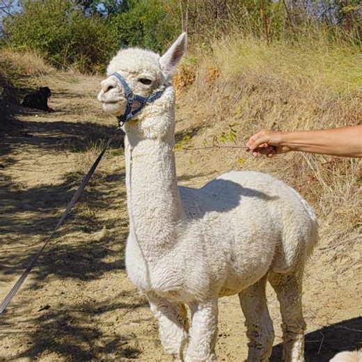 Book a home where you can spread out, do fun stuff together, and get someone to make you meatballs…any questions? | Airbnb