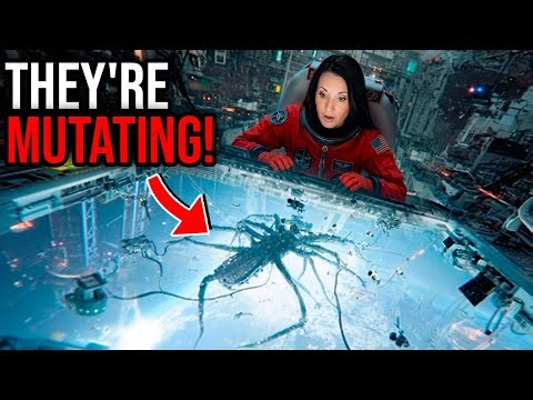 5 Most BIZARRE Recent Space Experiments By NASA