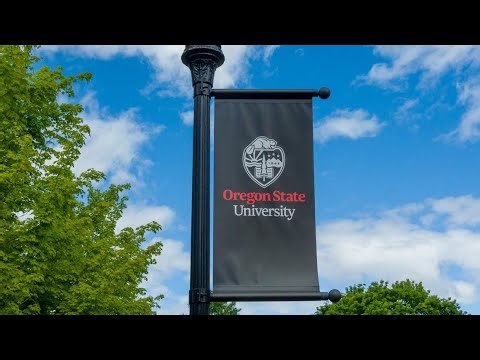 Oregon State pitcher seriously injured in car accident