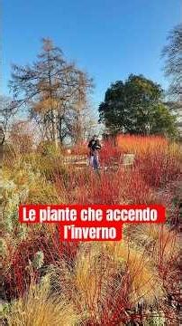 Il Giardino Invernale dei Kew Gardens. #faidate #natura #garden #giardinaggio #giardino #piante