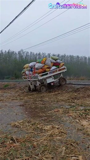 Rush Harvest Handling Tool: All-Terrain Remote-Controlled Agricultural Grain Transporter