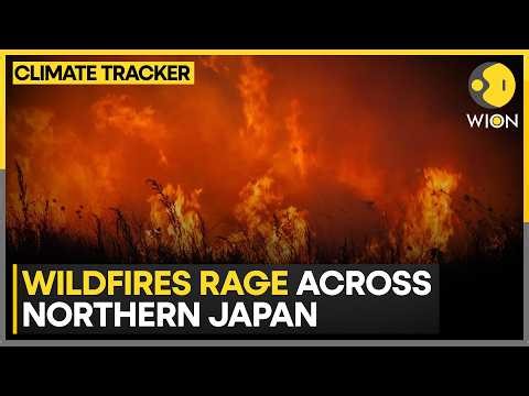 Japan Wildfires: Thousands Evacuate as Flames Spread | WION Climate Tracker