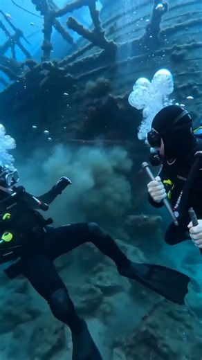 Giant Octopus Attacks Diver Under Shipwreck! 😱🐙