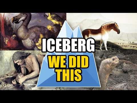 The Iceberg of Animals Humans Wiped Out Forever | Explained