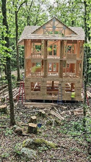 Survival Cabin Build | Watch This Wooden House Transform in Minutes 🏡 #timelapse #wilderness