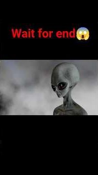The Alien Photo That Disappeared in 10 Seconds | The Unsolved 4chan Mystery 👽